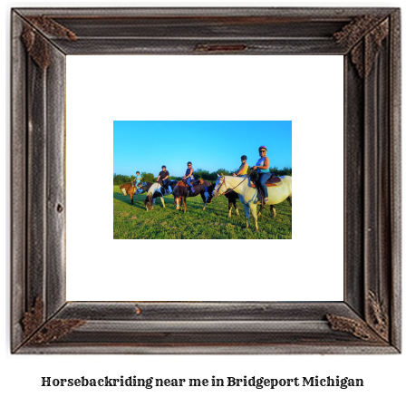 horseback riding near me in Bridgeport, Michigan